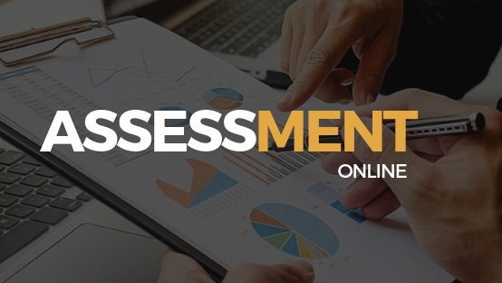 Assesssment online